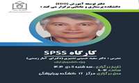 برگزاری کارگاه SPSS